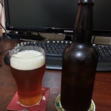 [BRA] Senai Beer - Estilo Unknown